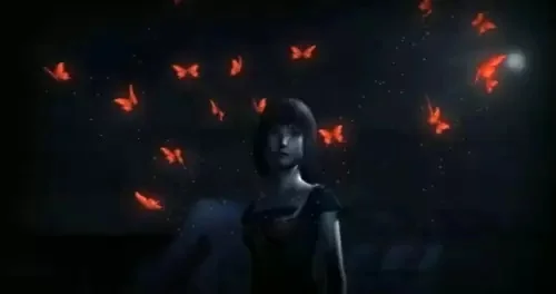 ps2零红蝶图文攻略-零红蝶攻略图解