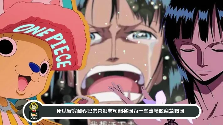 罗宾和暴走的乔巴x-罗宾乔巴奇幻航海记